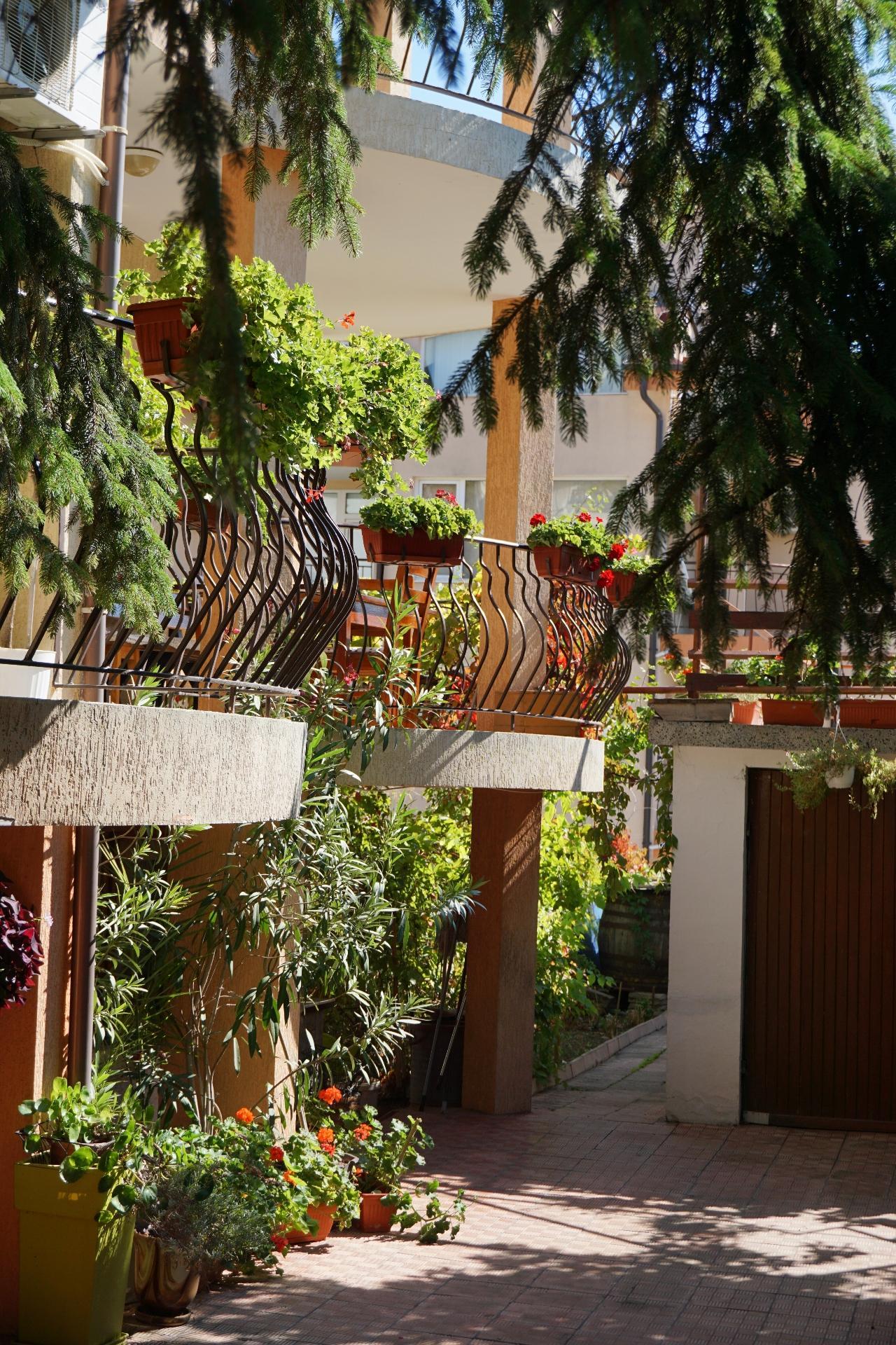 Kalina Guest Rooms Созополь Екстер'єр фото